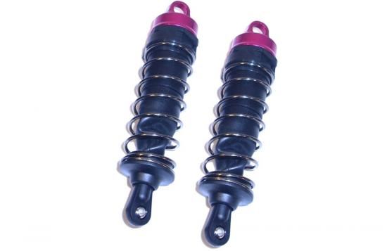 6243 Front Shock Set