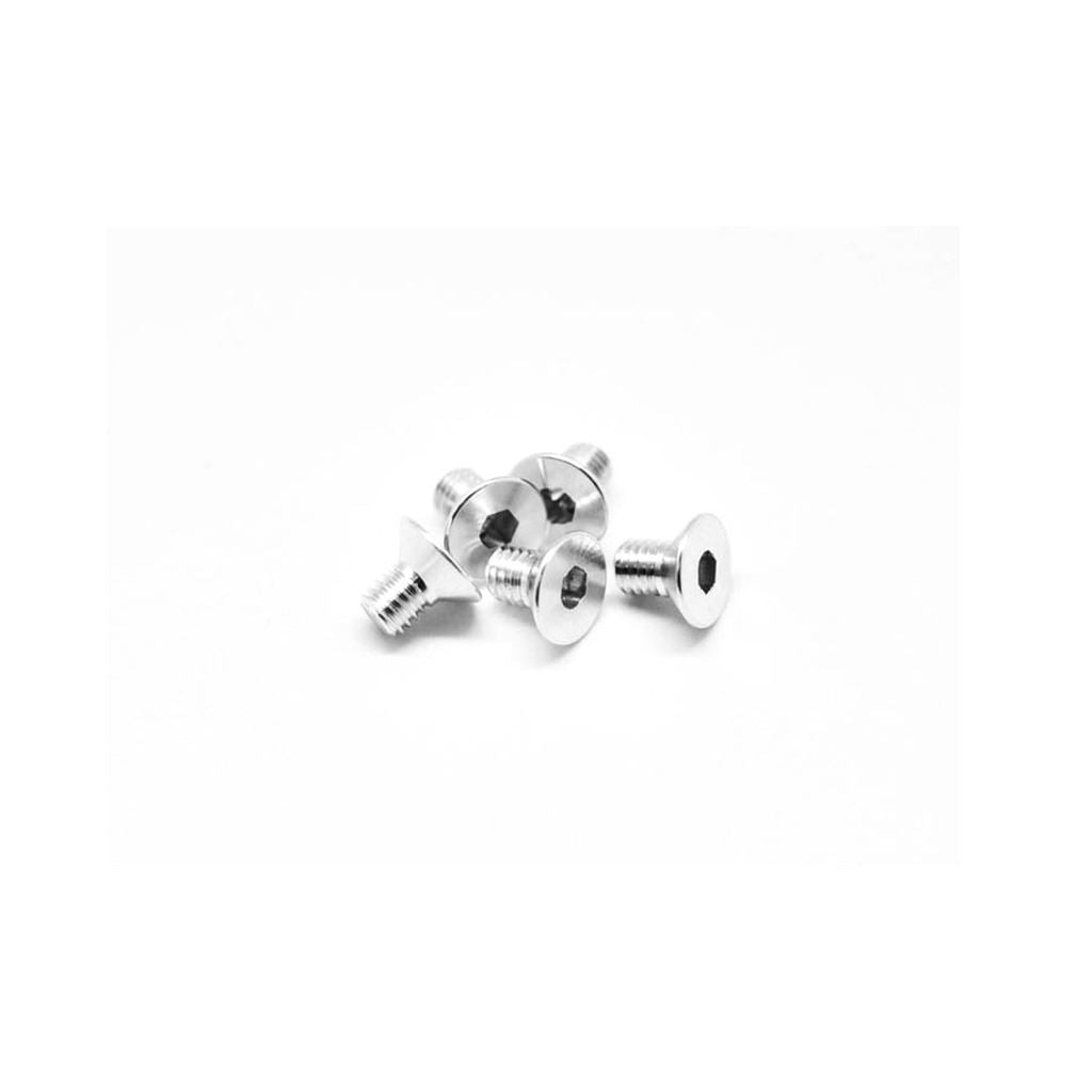 Alu Screw Allen Csk M3 X 5 Silver (5)