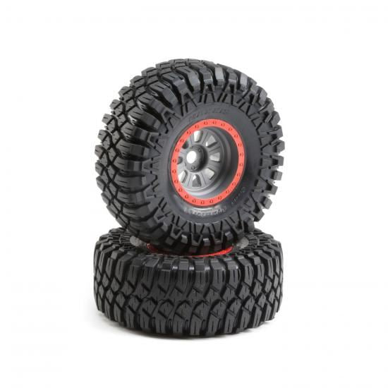 Losi Maxxis Creepy Crawler LT, Mounted(2): SuperRockRey (Losi45029)