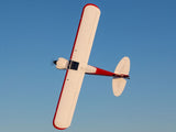 Hangar 9 Cubcrafters Carbon Cub FX-3 - HAN5280