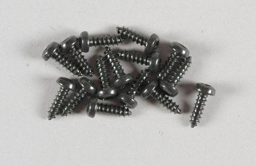 Fg Modellsport P.Head Tp Torx Screw 2.9X9.5mm (15)