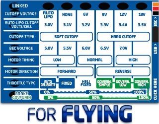 CASTLE Field Link Programmer for Flying